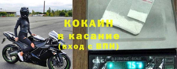 гидра Ельня