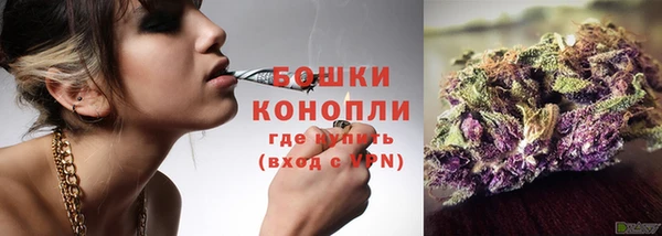 гидра Ельня