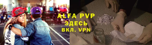 гидра Ельня