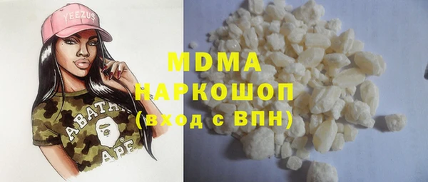 гидра Ельня