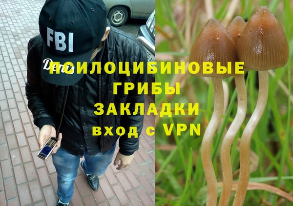 гидра Ельня