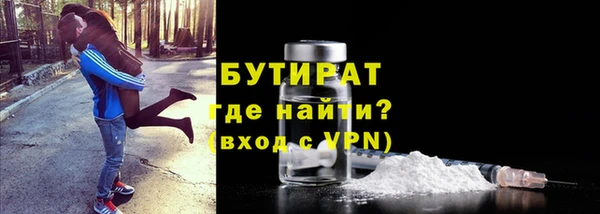 гидра Ельня