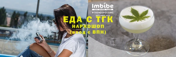 гидра Ельня