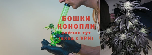 гидра Ельня
