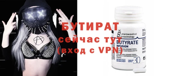 гидра Ельня