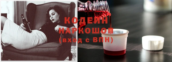 гидра Ельня