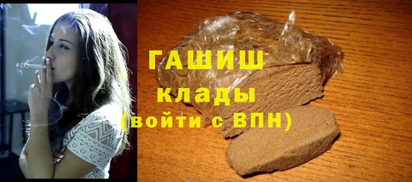 гидра Ельня