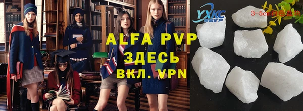 гидра Ельня