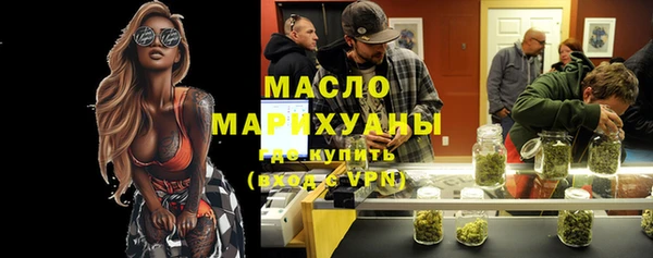 гидра Ельня