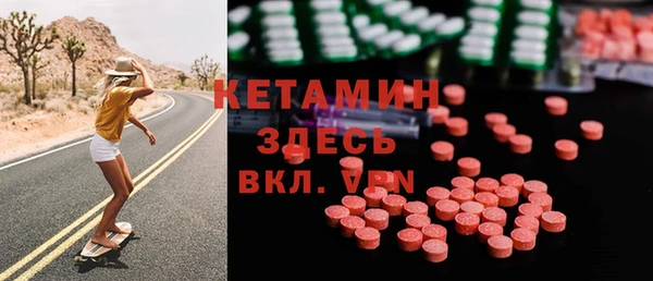 гидра Ельня