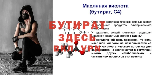 гидра Ельня